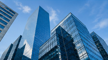 Enterprise Organizations